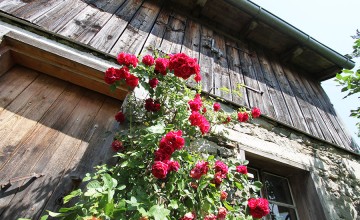 ferienwohnung-saalfelden3