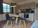 ferienwohnung-saalfelden-kitzblick-kueche_1